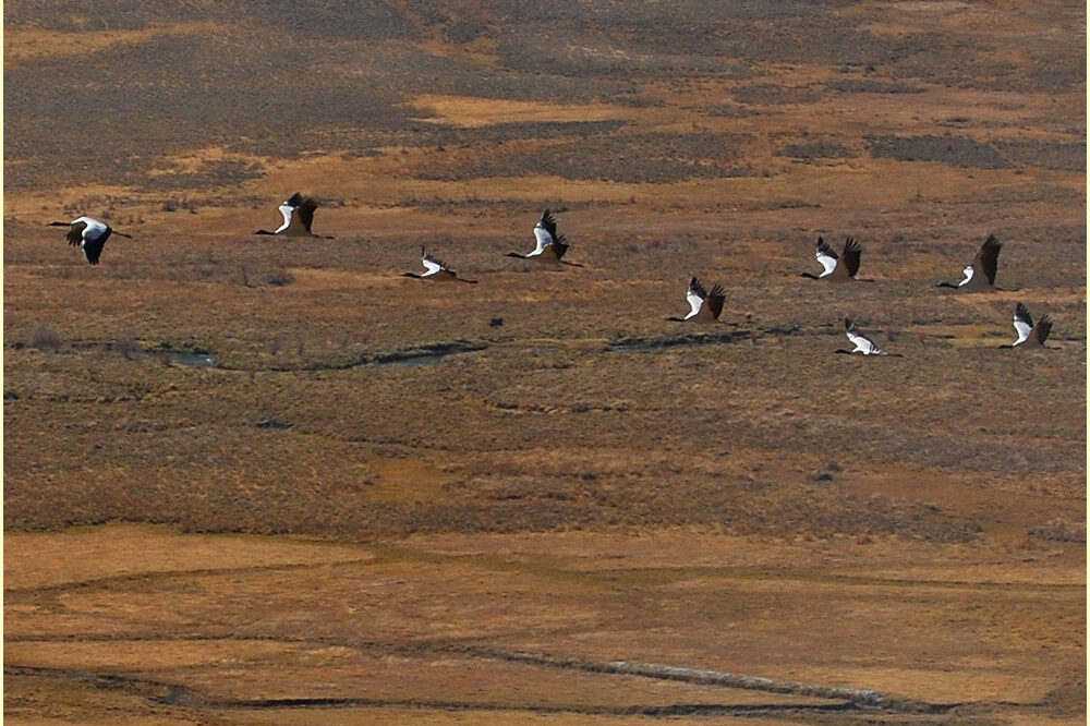 13天徒步文化之旅