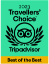 2021 Travellers' Choice Tripadvisor Award