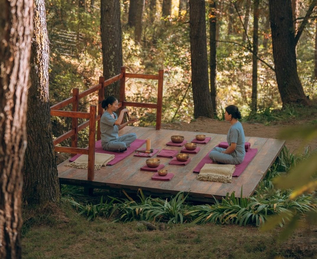 Outdoor yoga session in a forest clearing in Bhutan